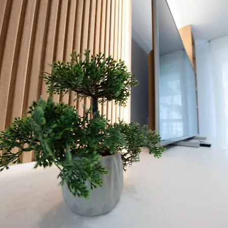 Apartment Brisa Del Cantabrico *