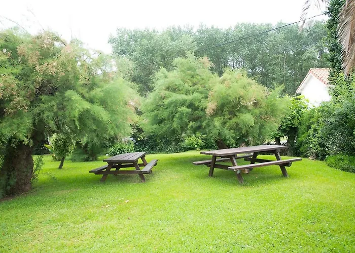 Apartment Brisa Del Cantabrico *