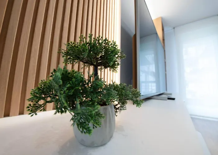 Apartament Brisa Del Cantabrico *